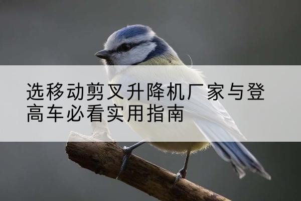 果洛电动升降机厂家-选移动剪叉升降机厂家与登高车必看实用指南