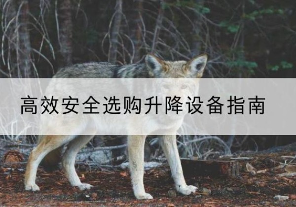 果洛升降货梯厂家推荐-*安全选购升降设备指南